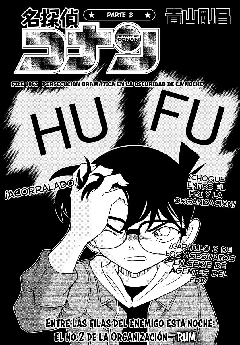 Detective Conan capítulo 1063, página 1