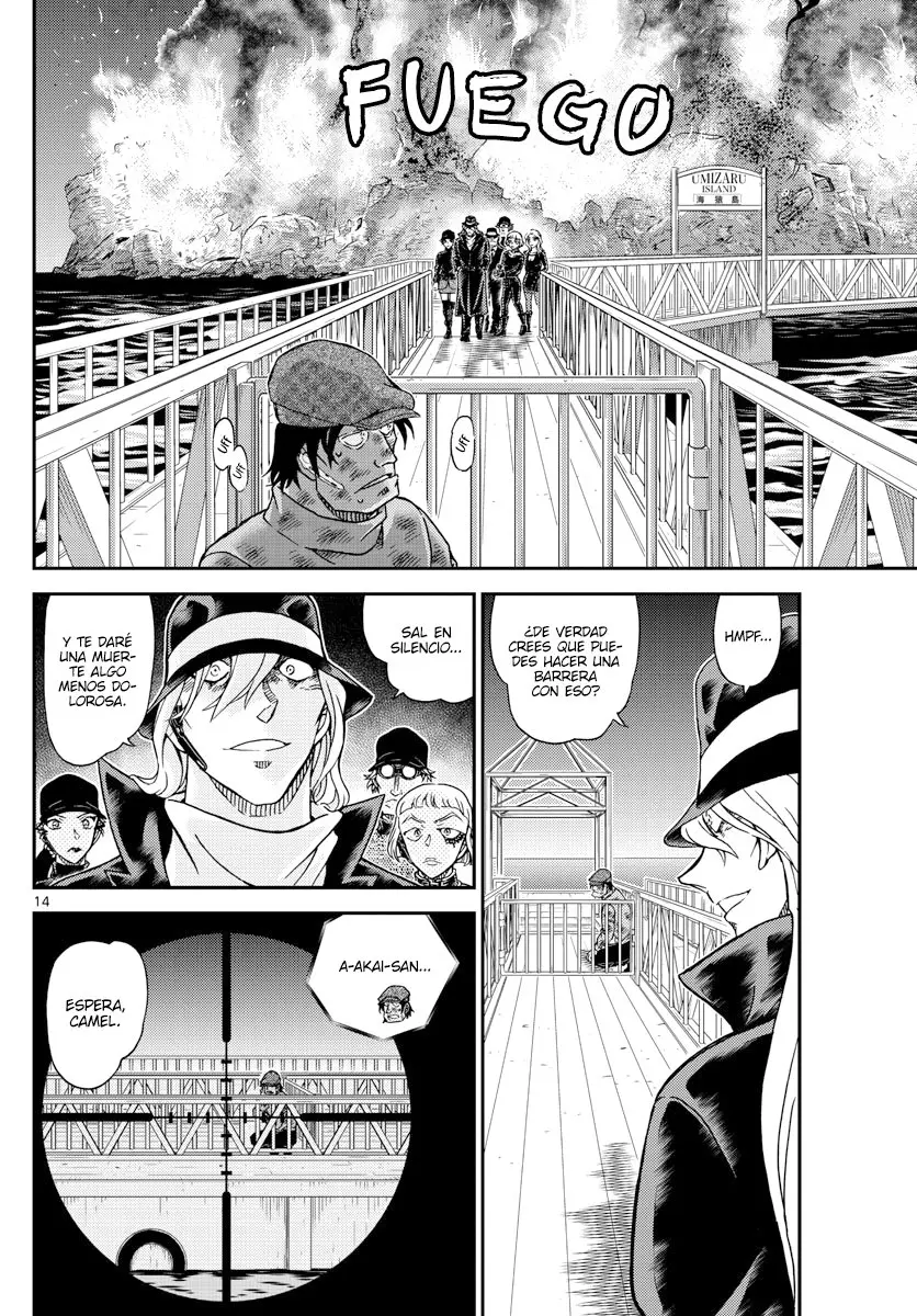 Detective Conan capítulo 1065, página 14