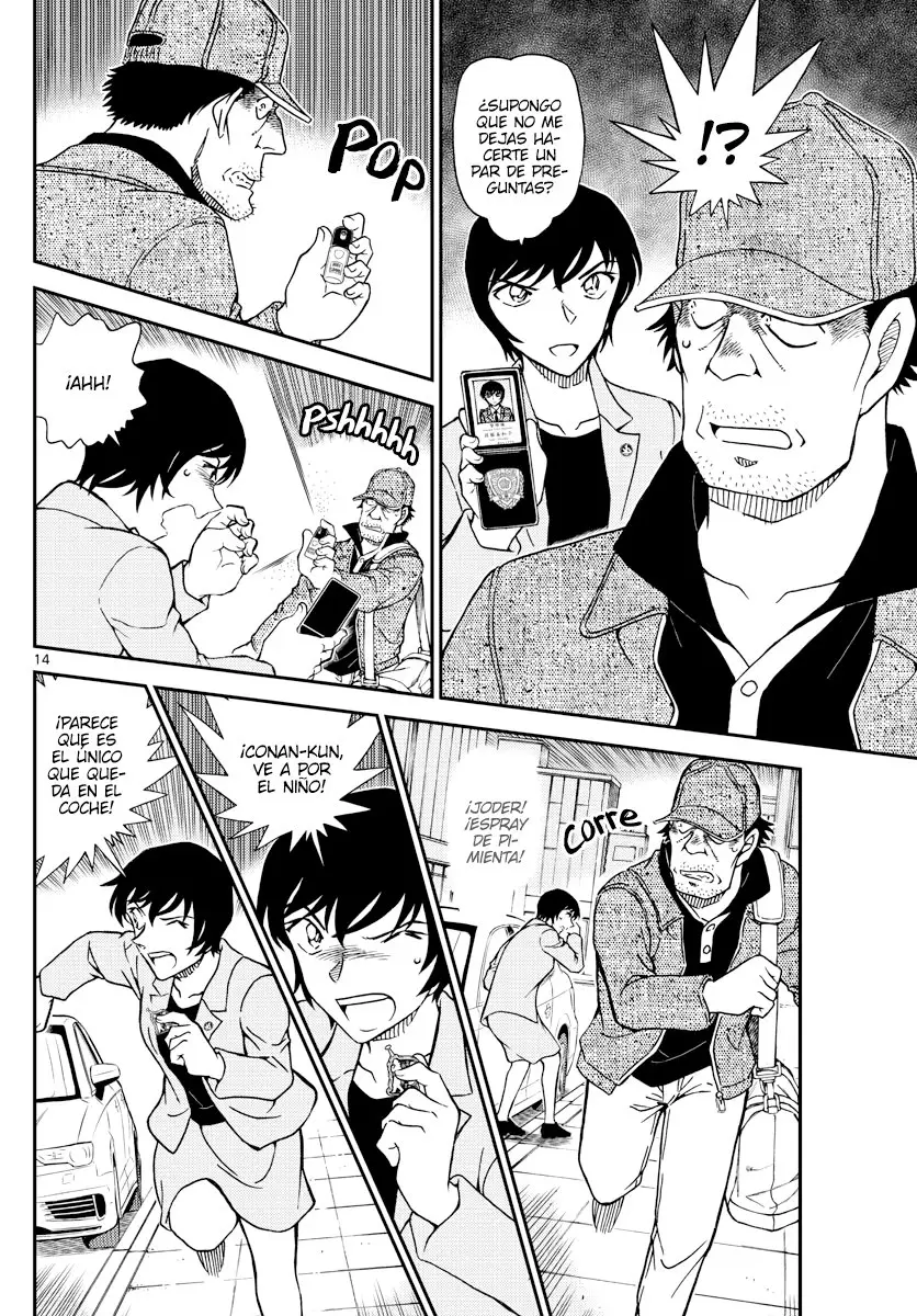 Detective Conan capítulo 1080, página 14