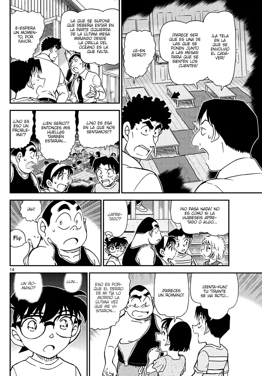 Detective Conan capítulo 1098, página 14