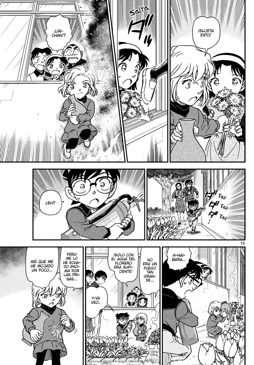 Detective Conan capítulo 1110, página 15