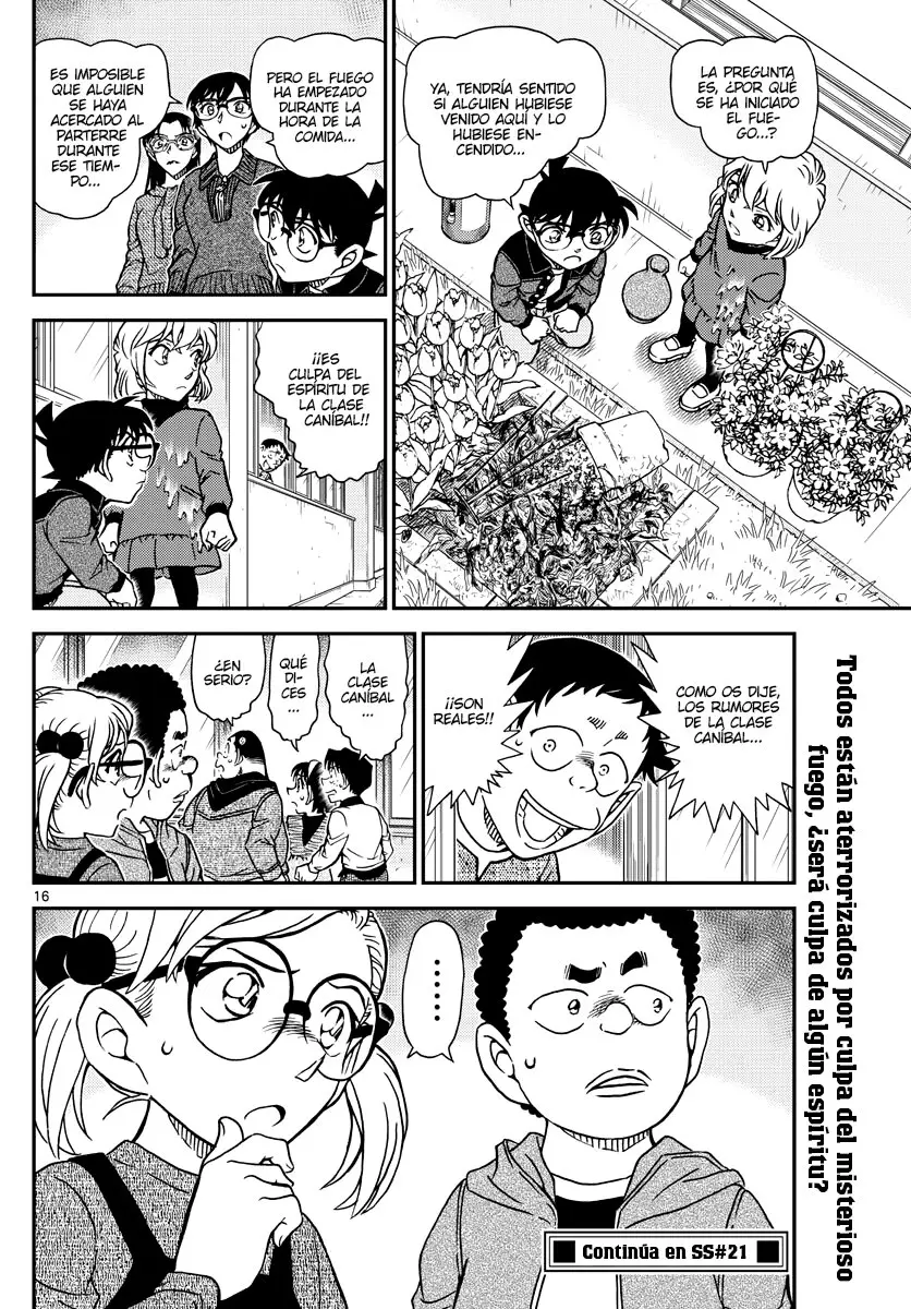 Detective Conan capítulo 1110, página 16