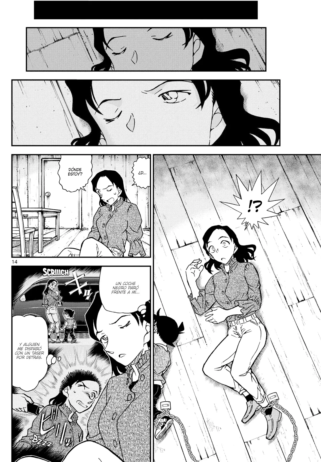 Detective Conan capítulo 1126, página 14