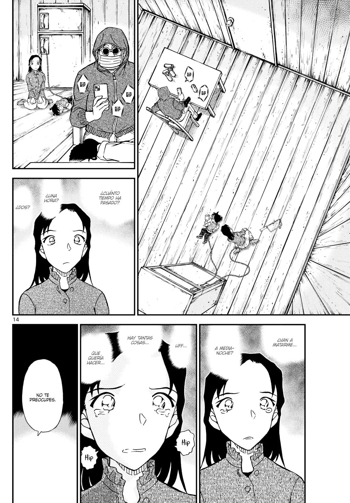 Detective Conan capítulo 1127, página 14