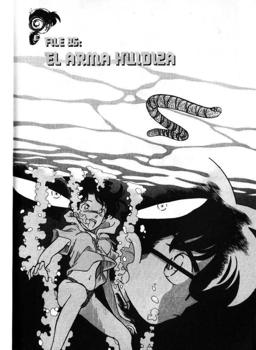 Detective Conan capítulo 164, página 1