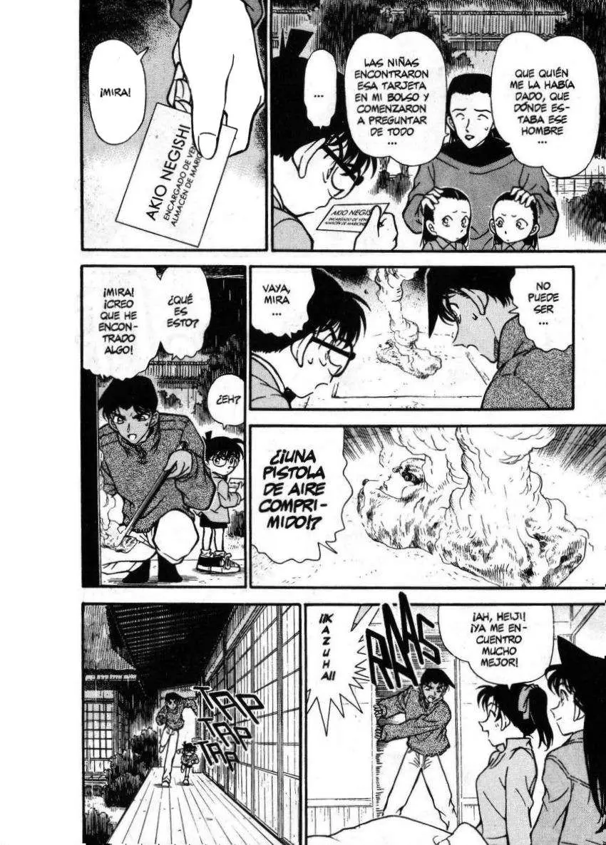 Detective Conan capítulo 249, página 13