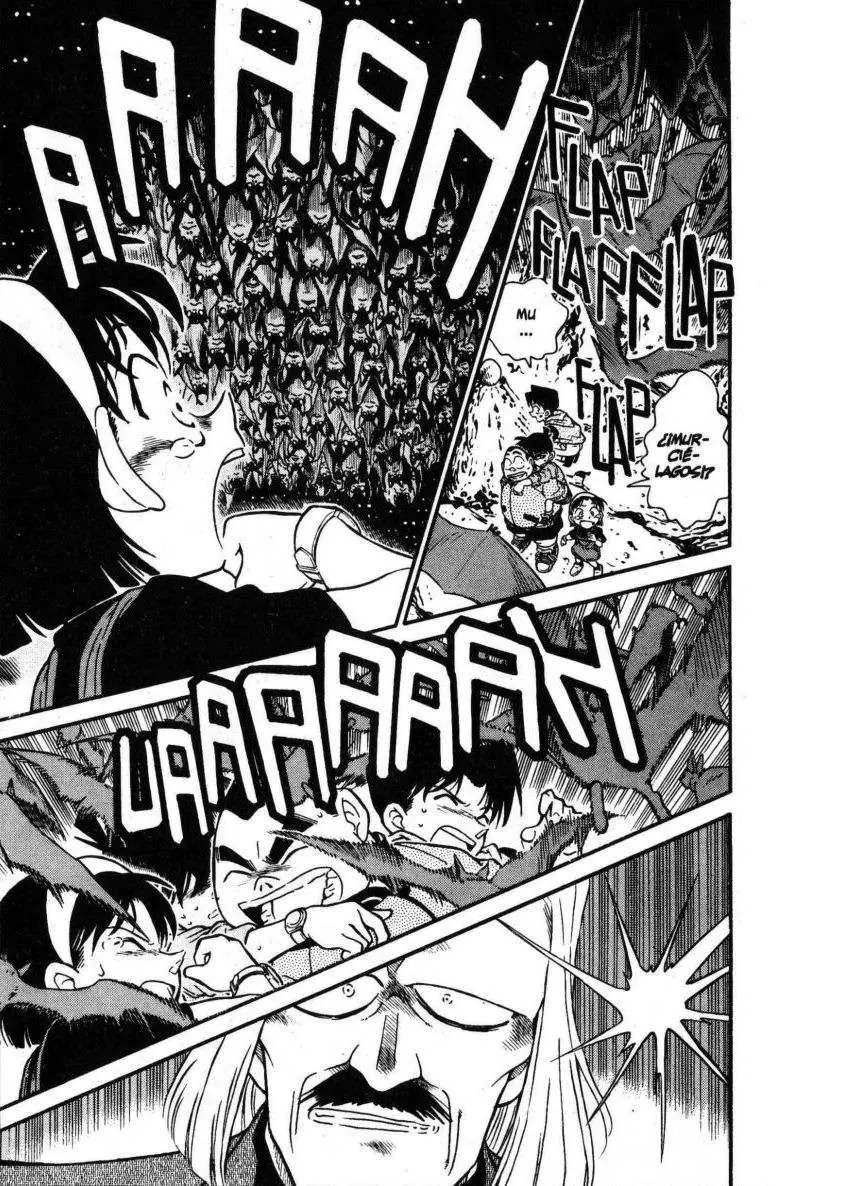 Detective Conan capítulo 252, página 14