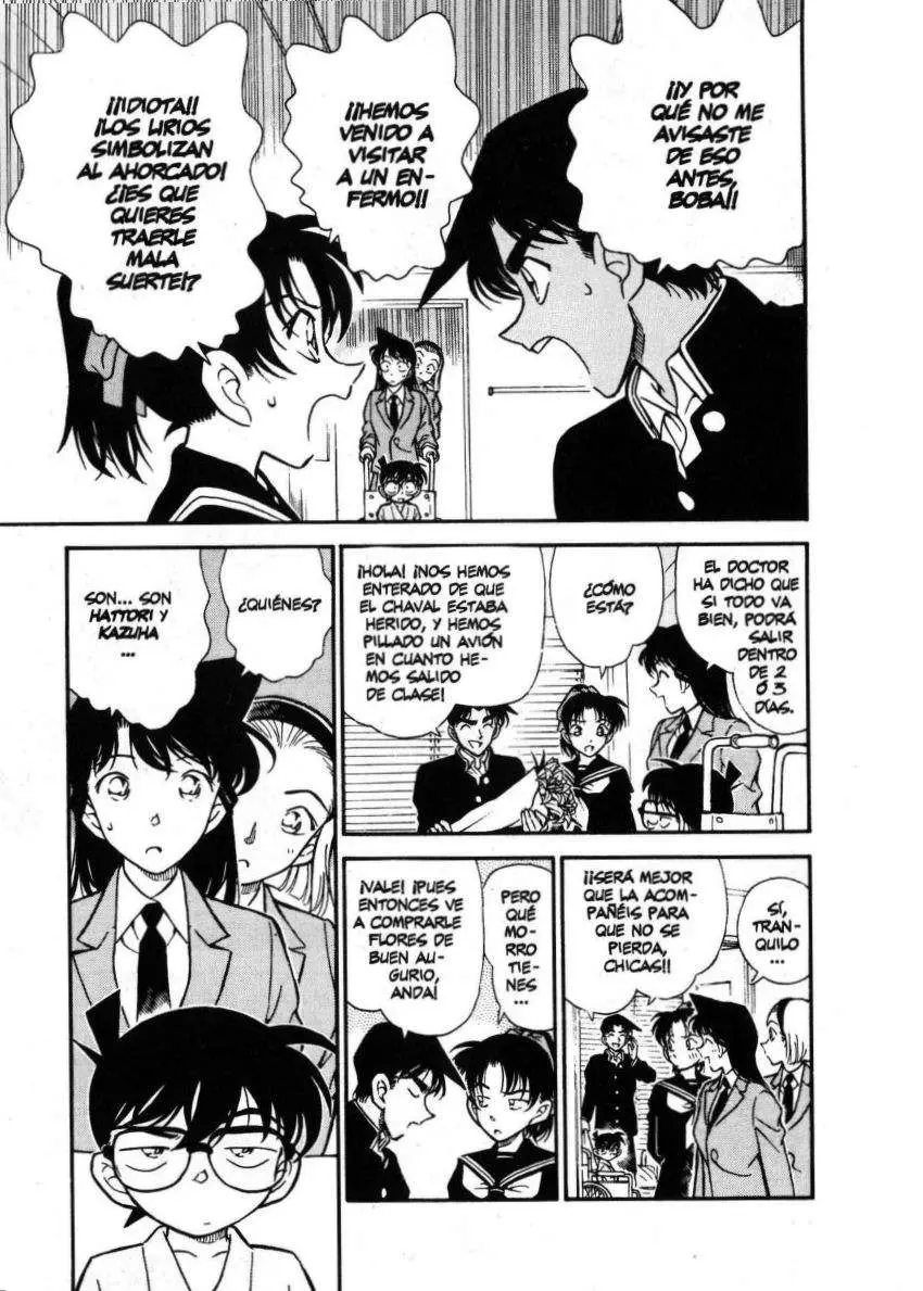 Detective Conan capítulo 254, página 10