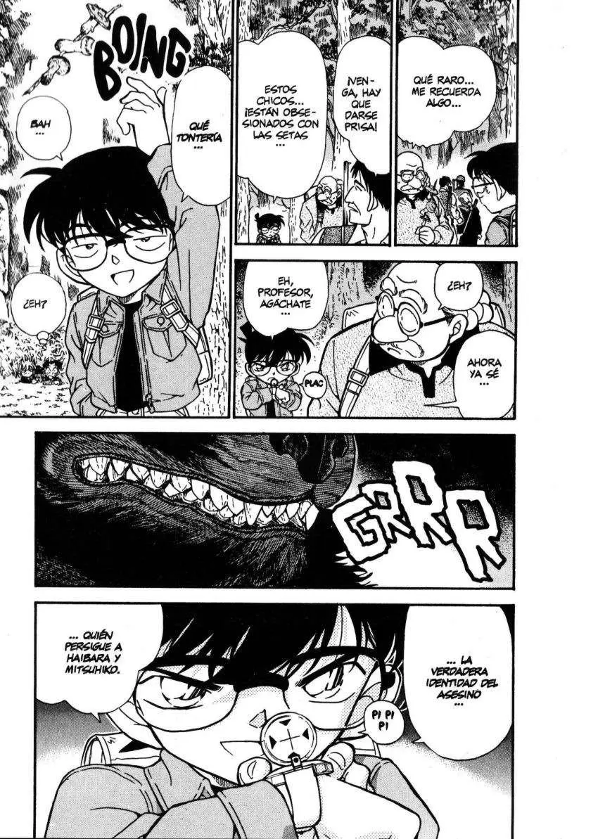 Detective Conan capítulo 274, página 16