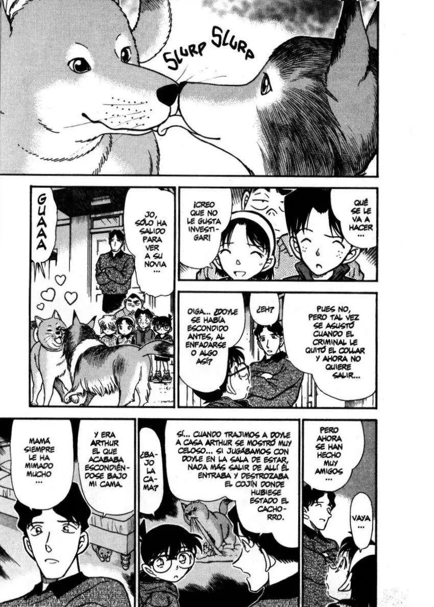 Detective Conan capítulo 291, página 10
