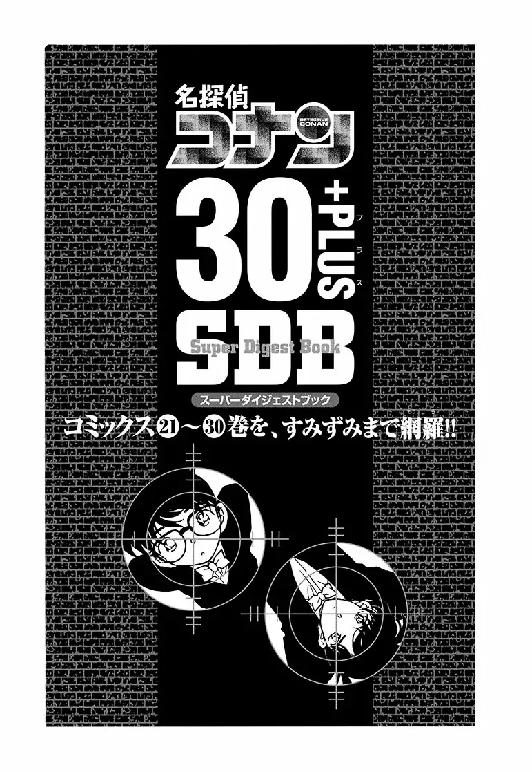 Detective Conan capítulo 306.5, página 5