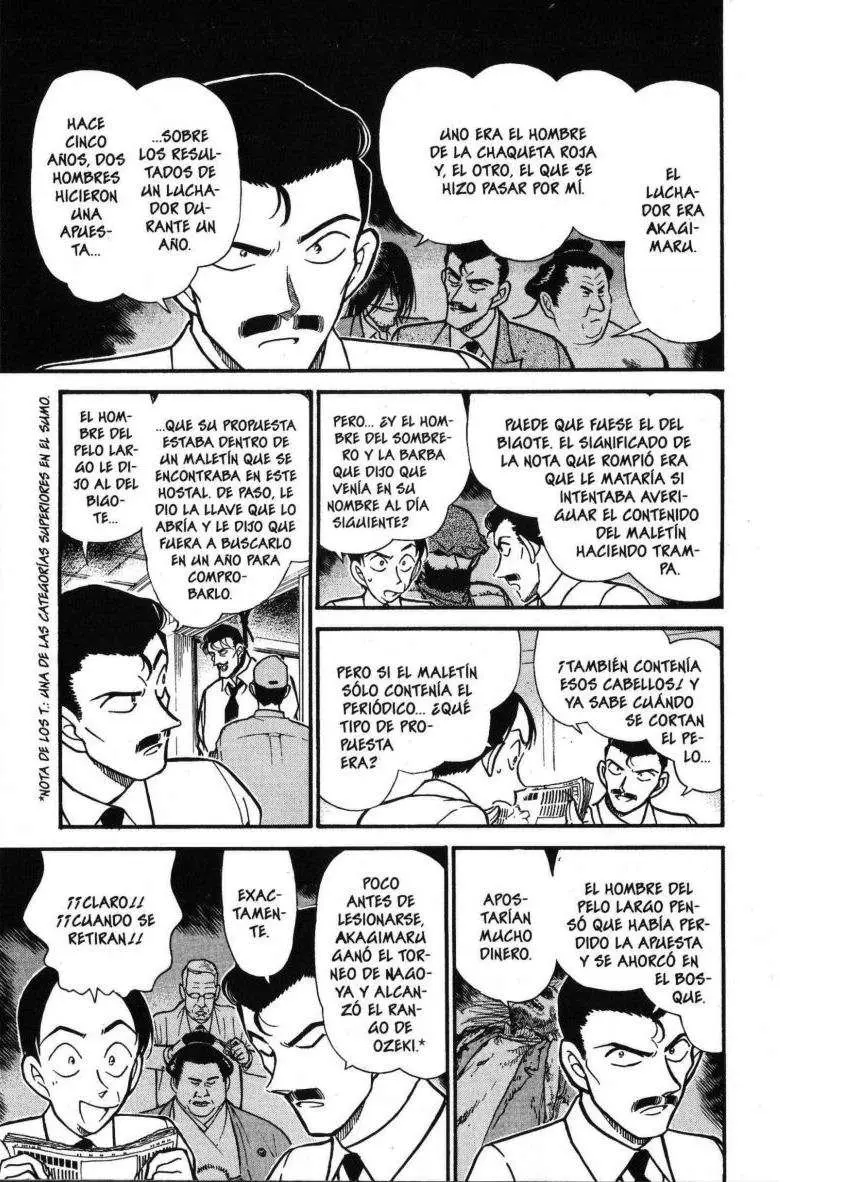 Detective Conan capítulo 309, página 8