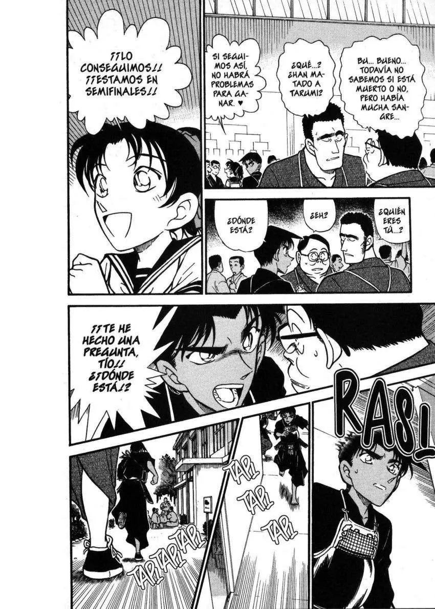 Detective Conan capítulo 314, página 13