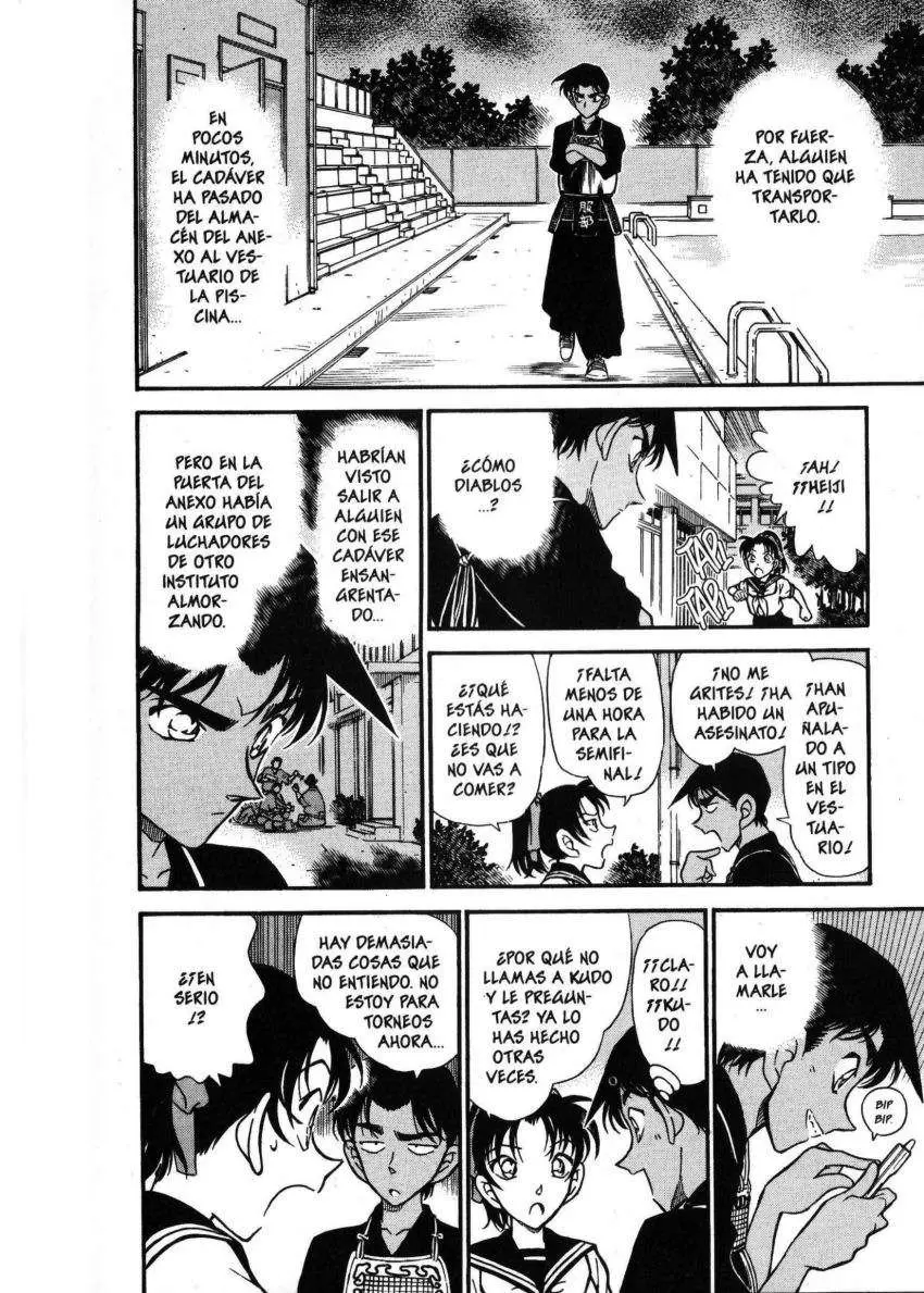 Detective Conan capítulo 314, página 17
