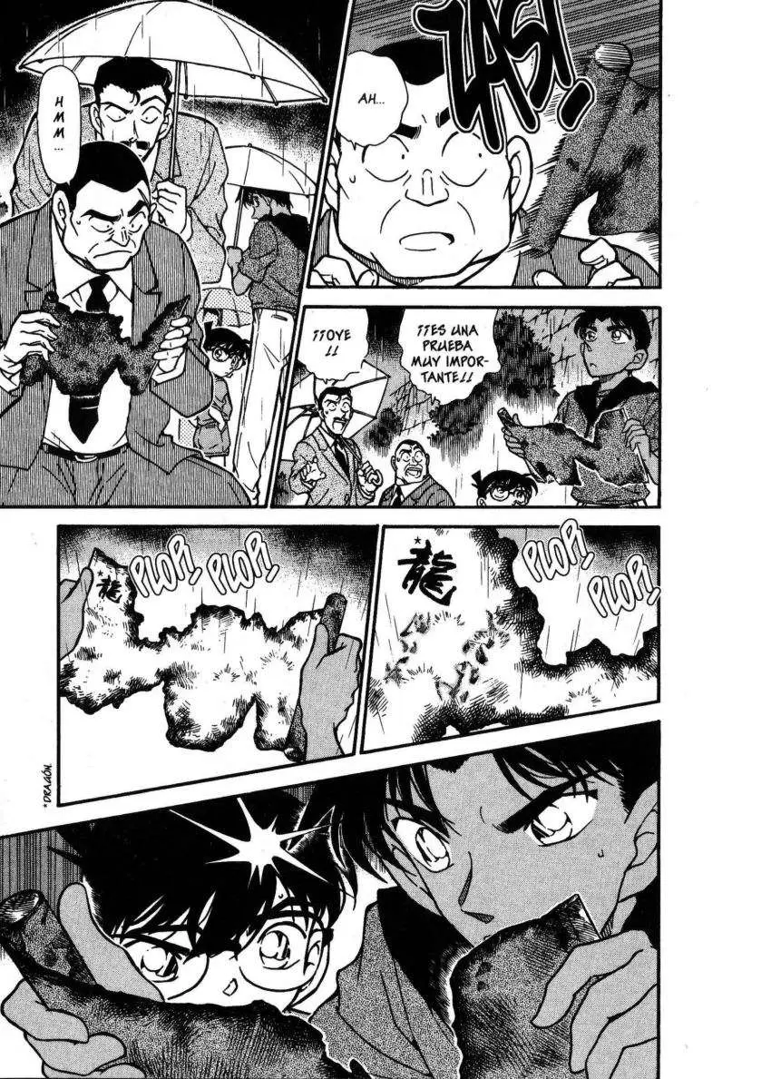 Detective Conan capítulo 318, página 14