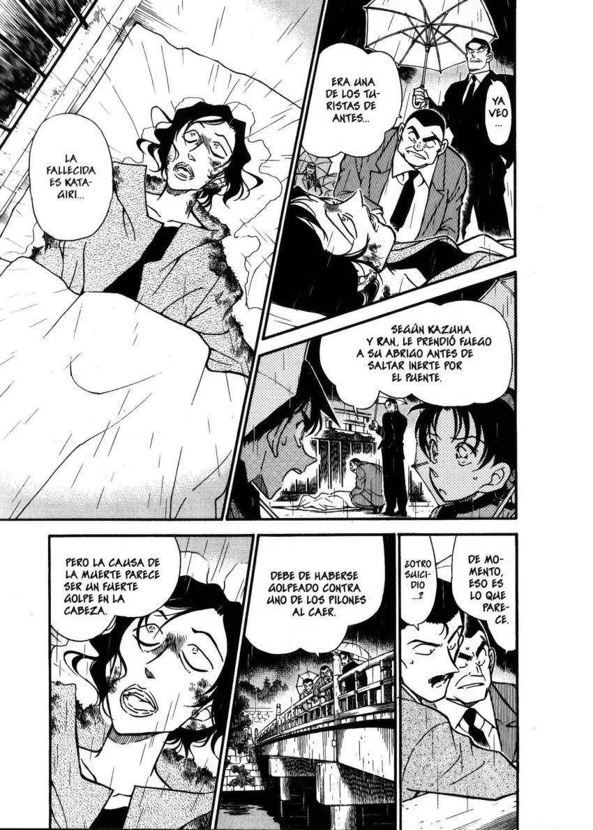 Detective Conan capítulo 319, página 14