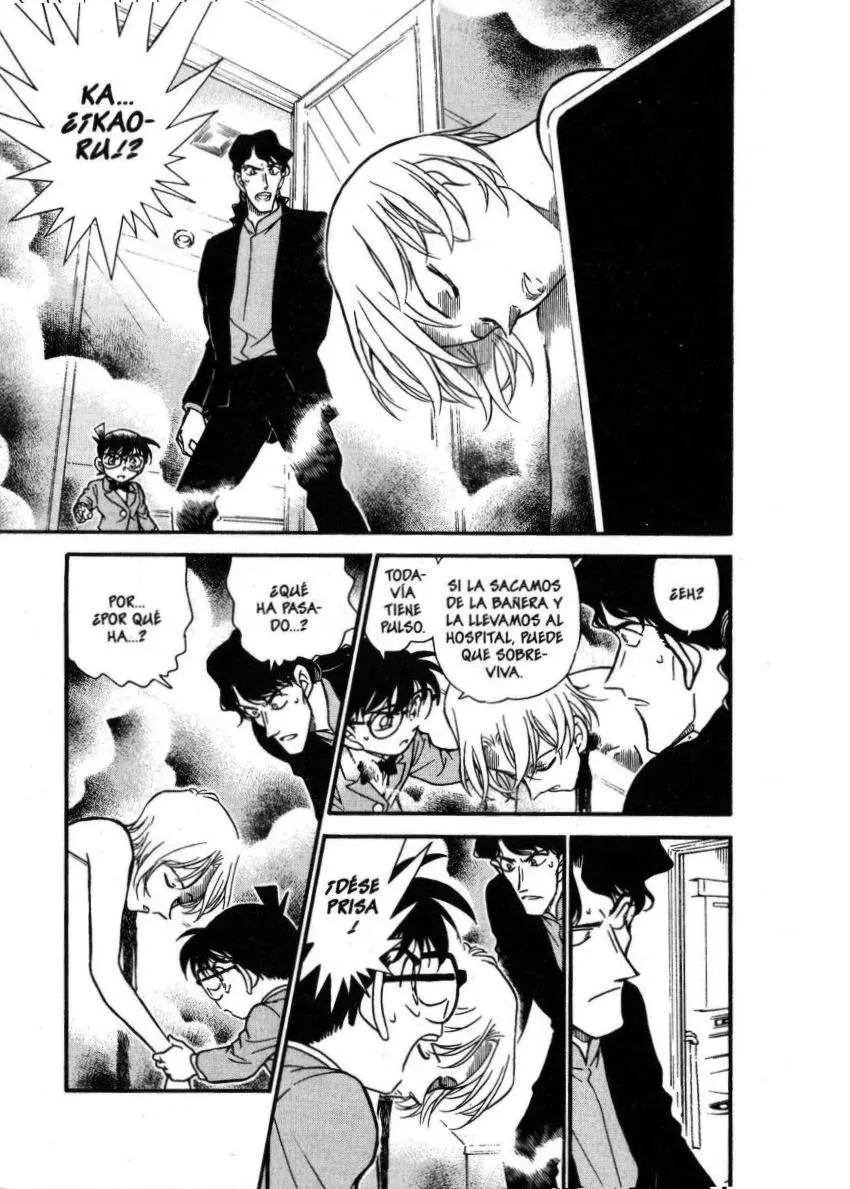 Detective Conan capítulo 323, página 2