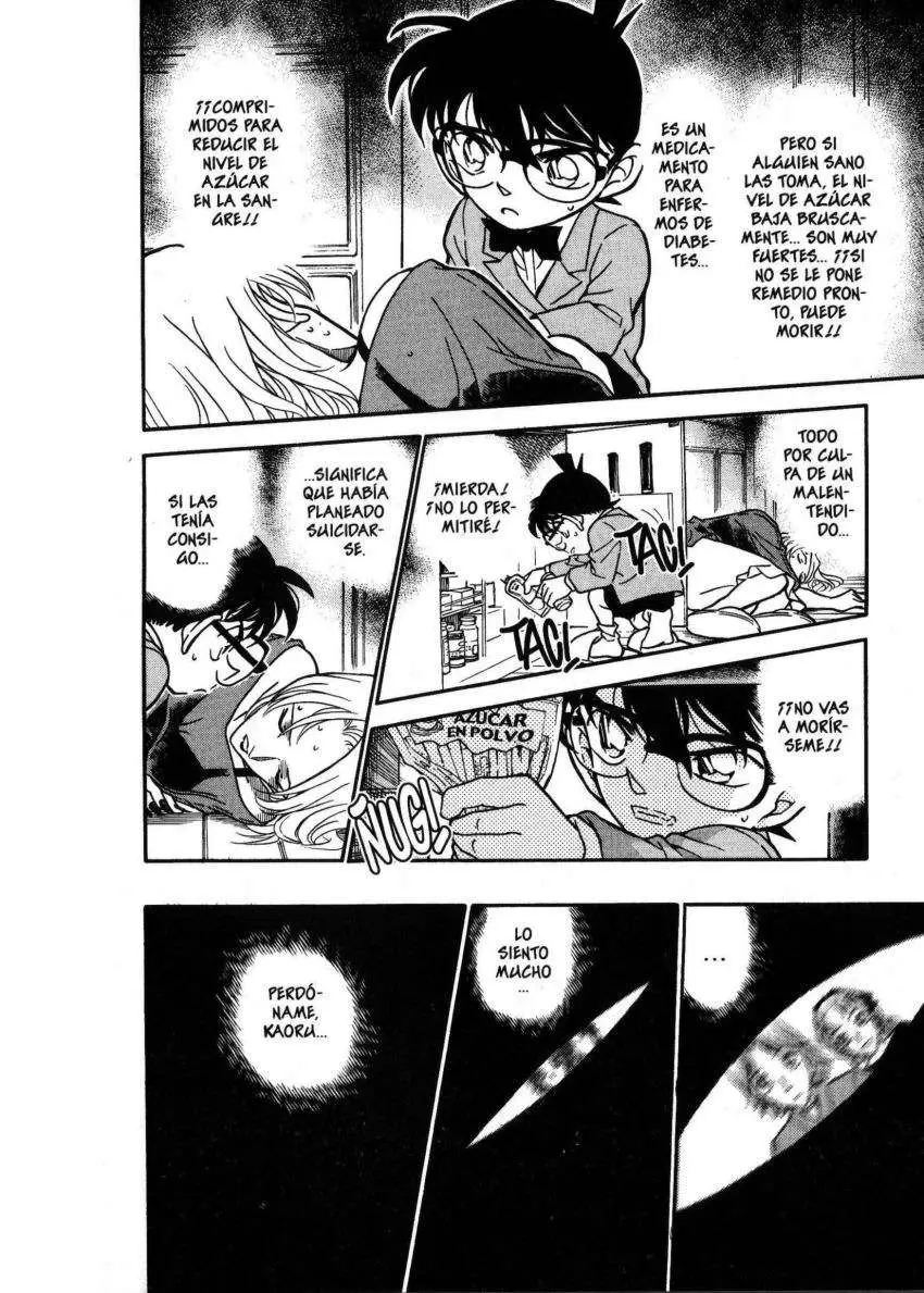 Detective Conan capítulo 324, página 13