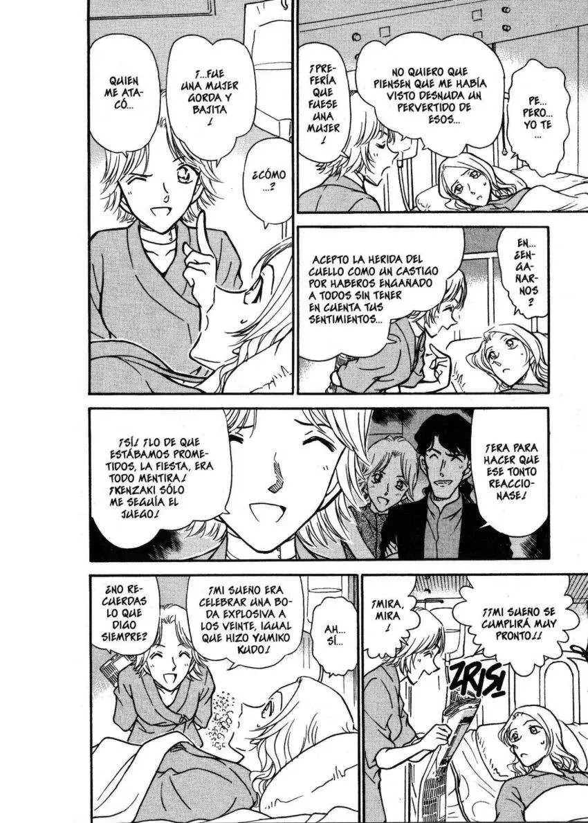 Detective Conan capítulo 324, página 15