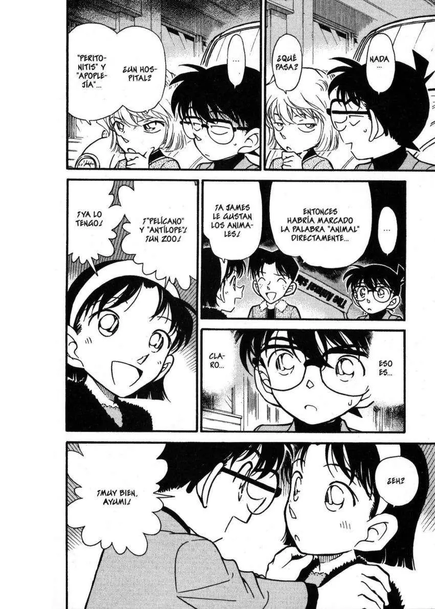 Detective Conan capítulo 326, página 15