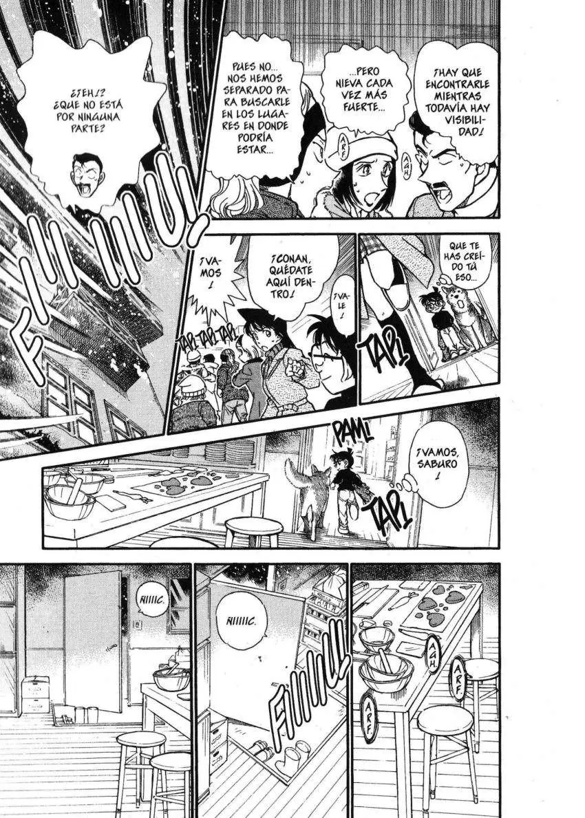 Detective Conan capítulo 331, página 13