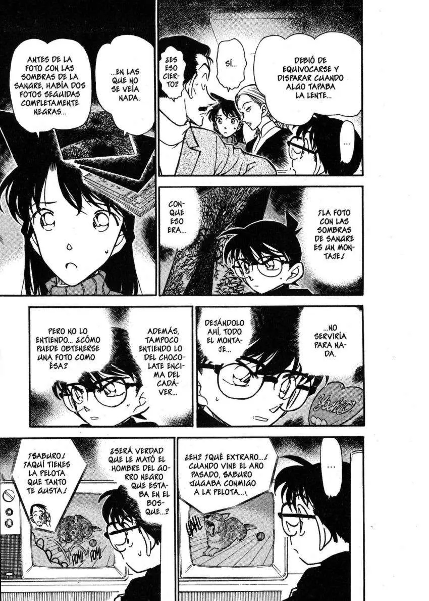 Detective Conan capítulo 333, página 8