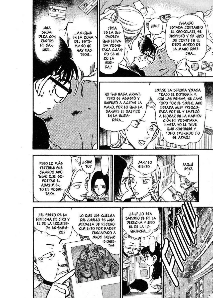 Detective Conan capítulo 333, página 11