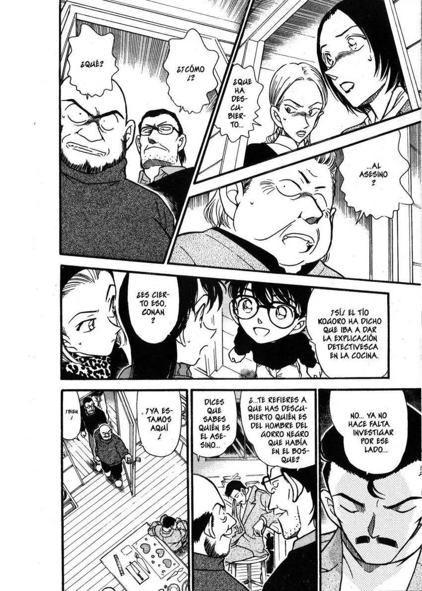 Detective Conan capítulo 333, página 15
