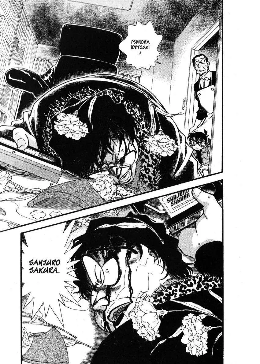 Detective Conan capítulo 335, página 18