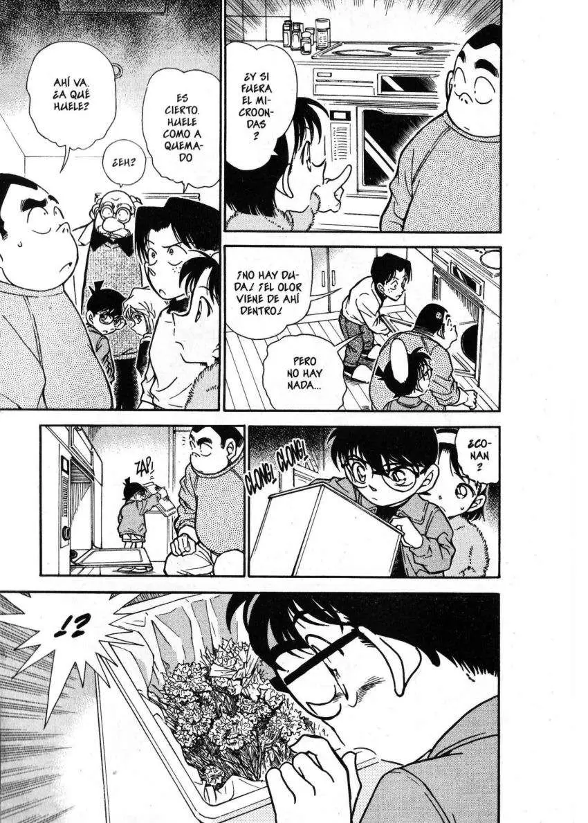 Detective Conan capítulo 336, página 12