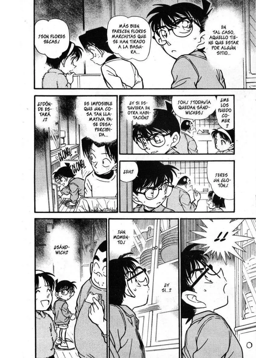 Detective Conan capítulo 336, página 13