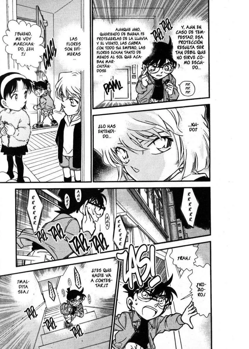 Detective Conan capítulo 337, página 14