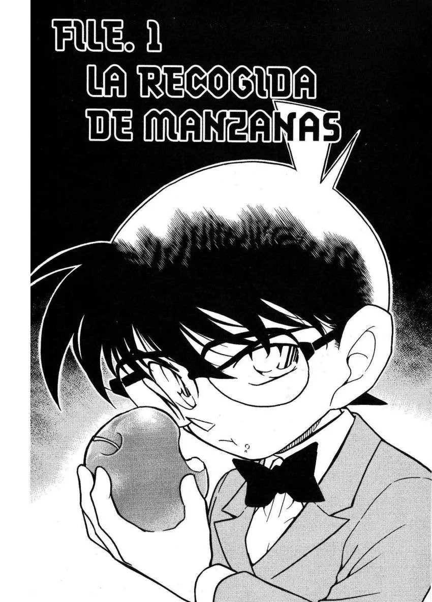 Detective Conan capítulo 340, página 1