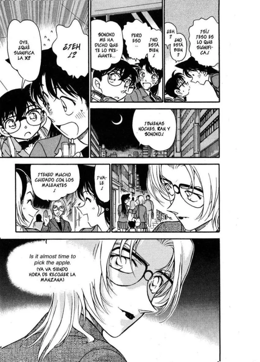 Detective Conan capítulo 340, página 14