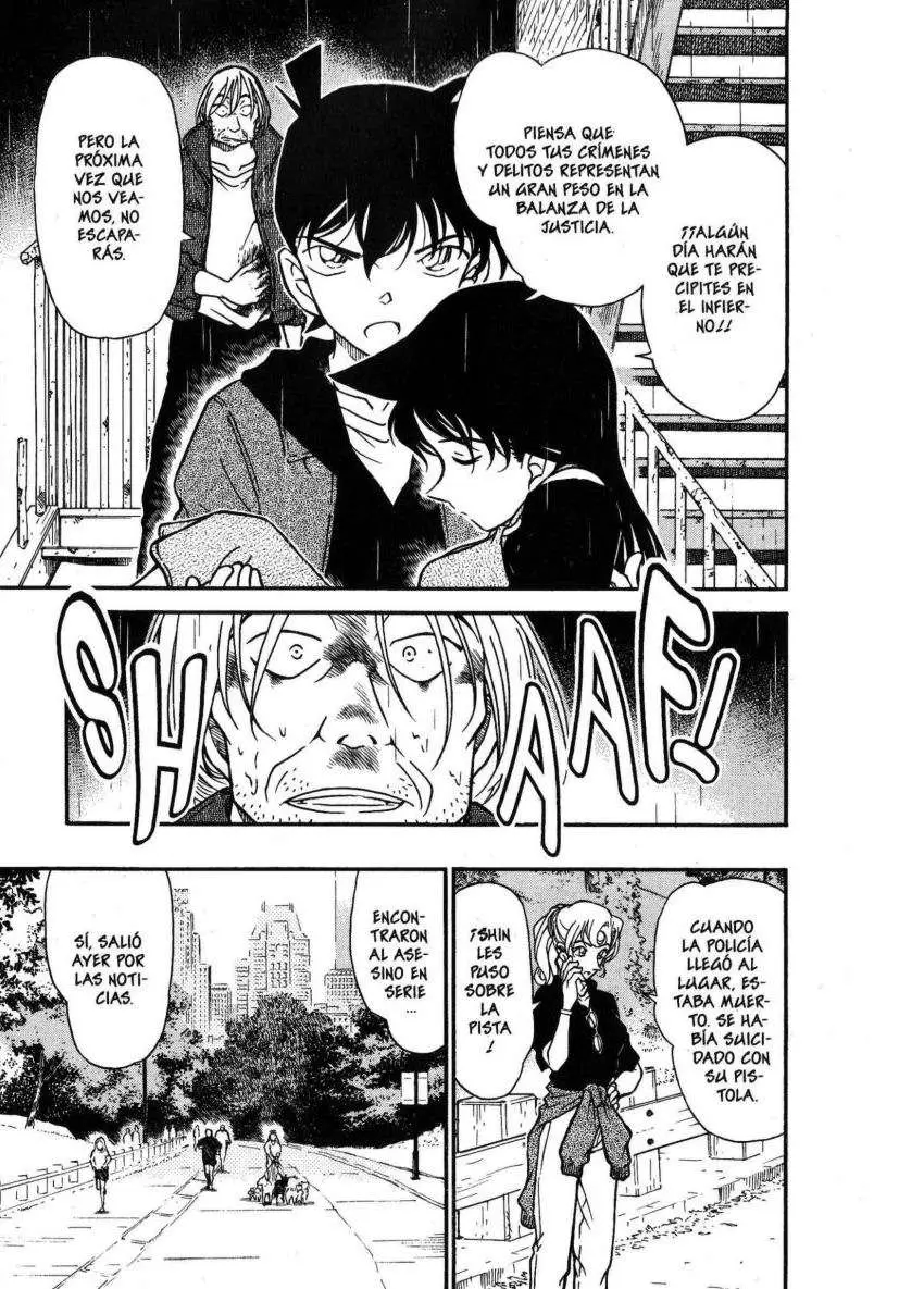 Detective Conan capítulo 354, página 14