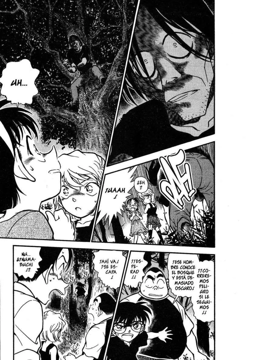 Detective Conan capítulo 359, página 12