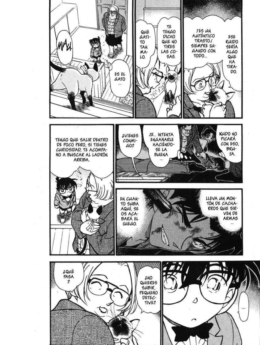 Detective Conan capítulo 391, página 5