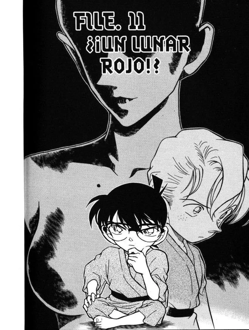 Detective Conan capítulo 403, página 1