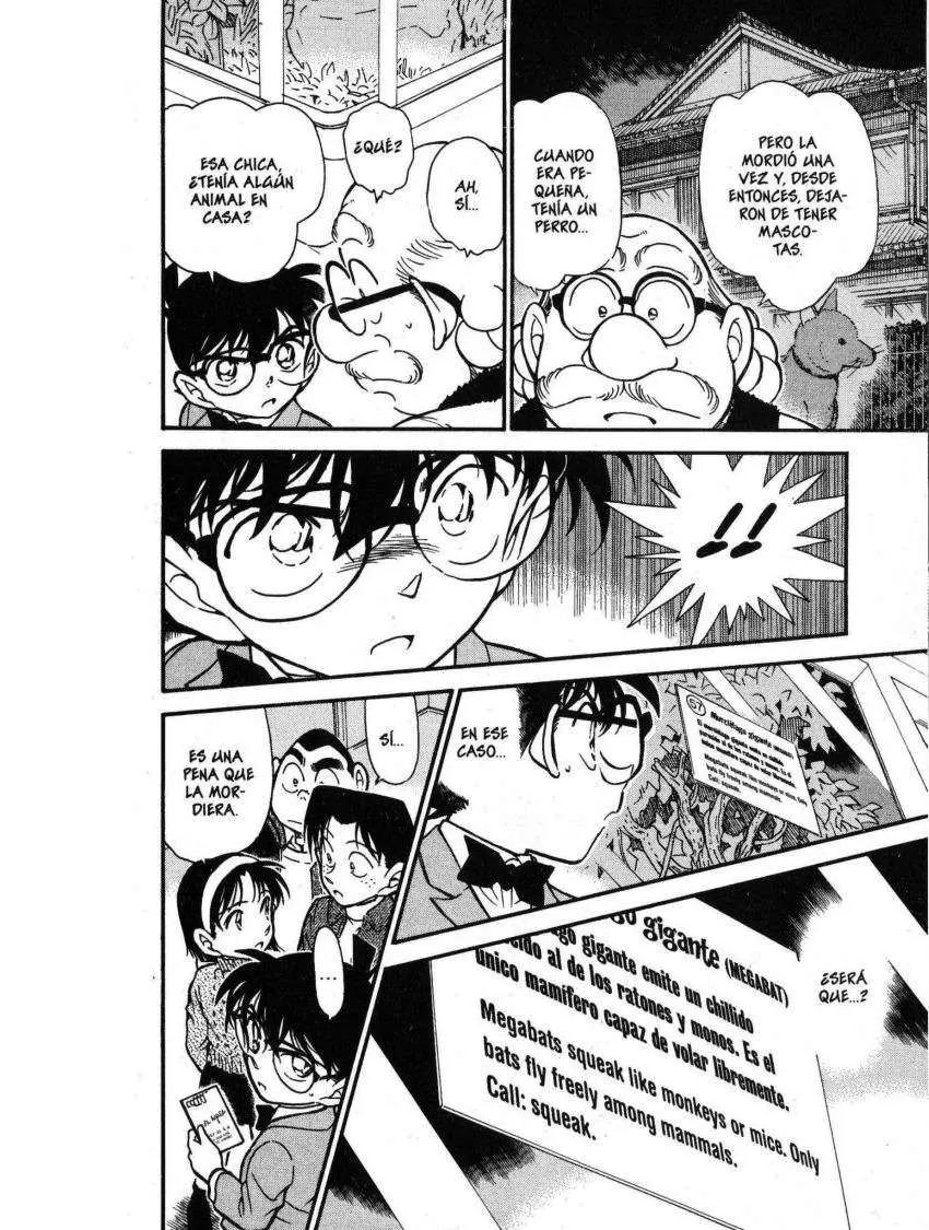 Detective Conan capítulo 411, página 15