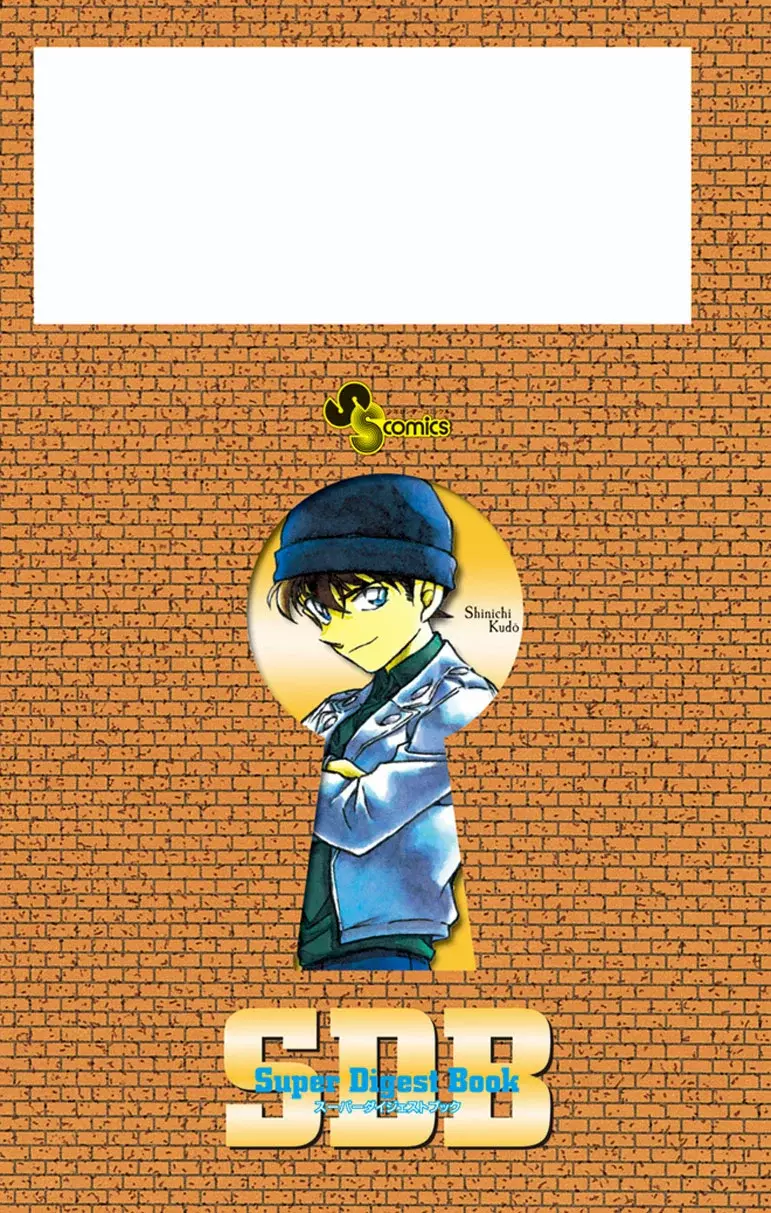 Detective Conan capítulo 413.5, página 9