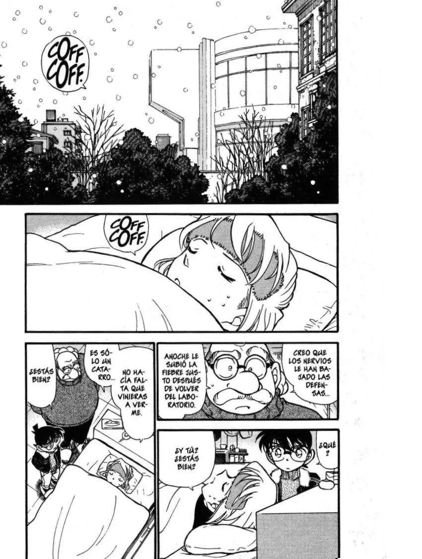 Detective Conan capítulo 420, página 2