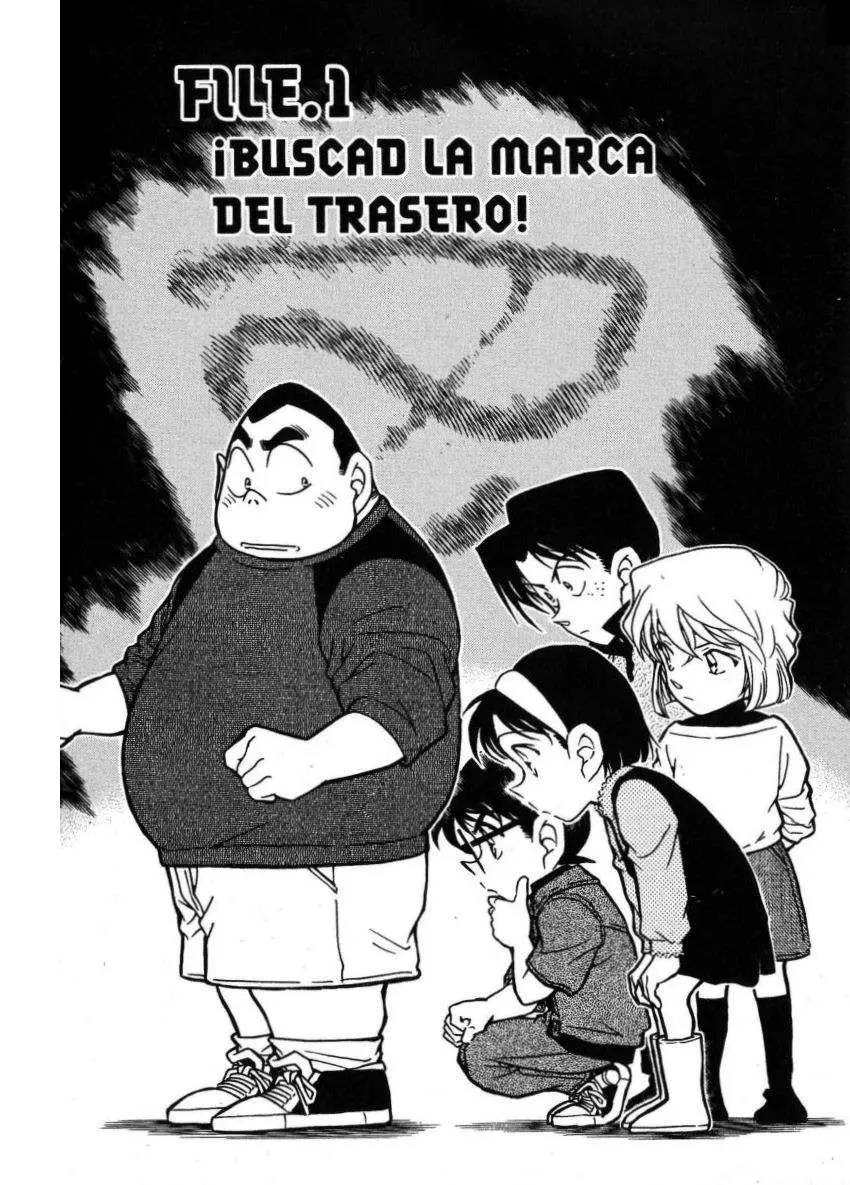 Detective Conan capítulo 436, página 1