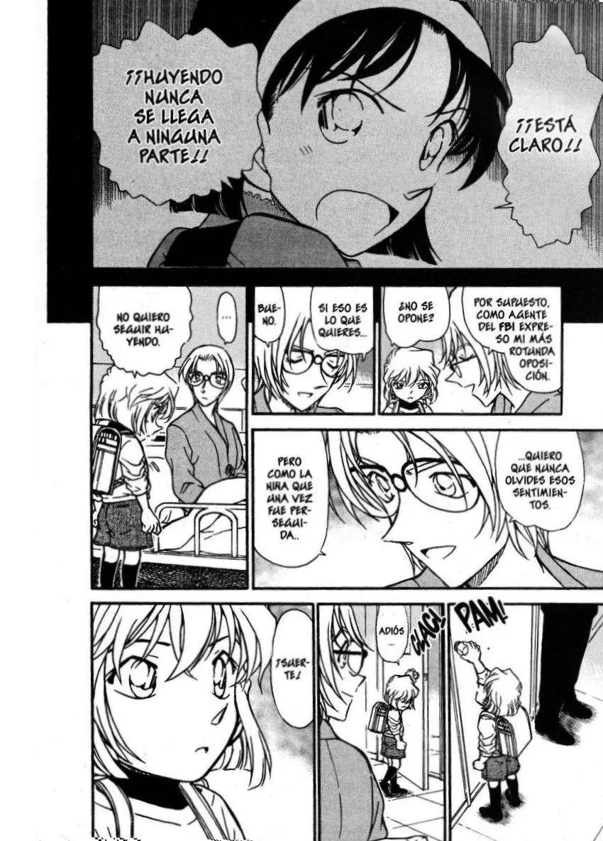 Detective Conan capítulo 437, página 17