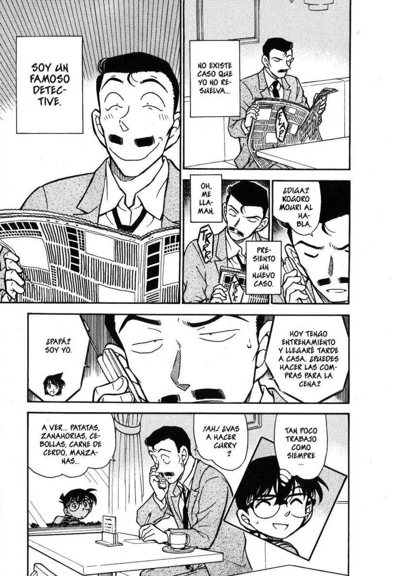 Detective Conan capítulo 440, página 18