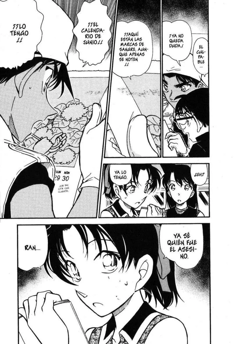 Detective Conan capítulo 443, página 16