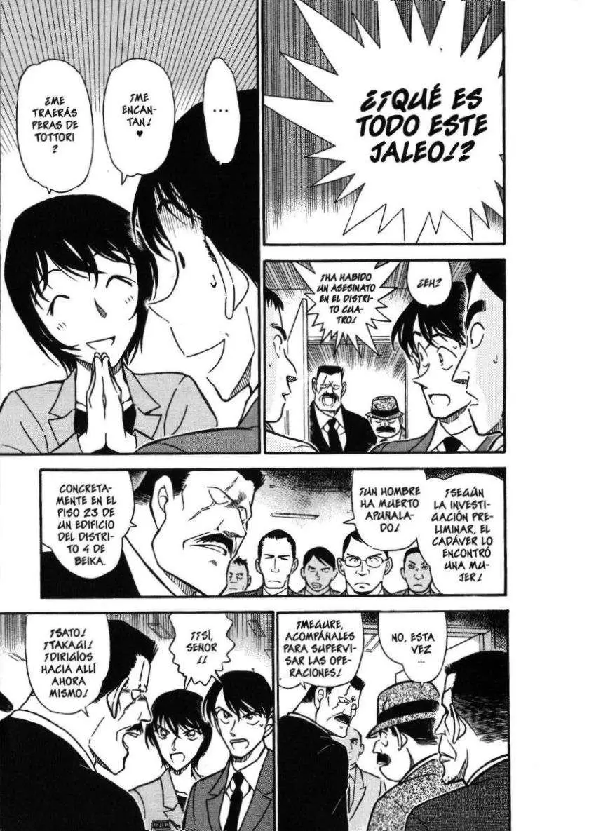 Detective Conan capítulo 450, página 12