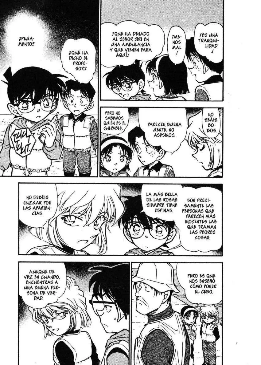Detective Conan capítulo 461, página 14