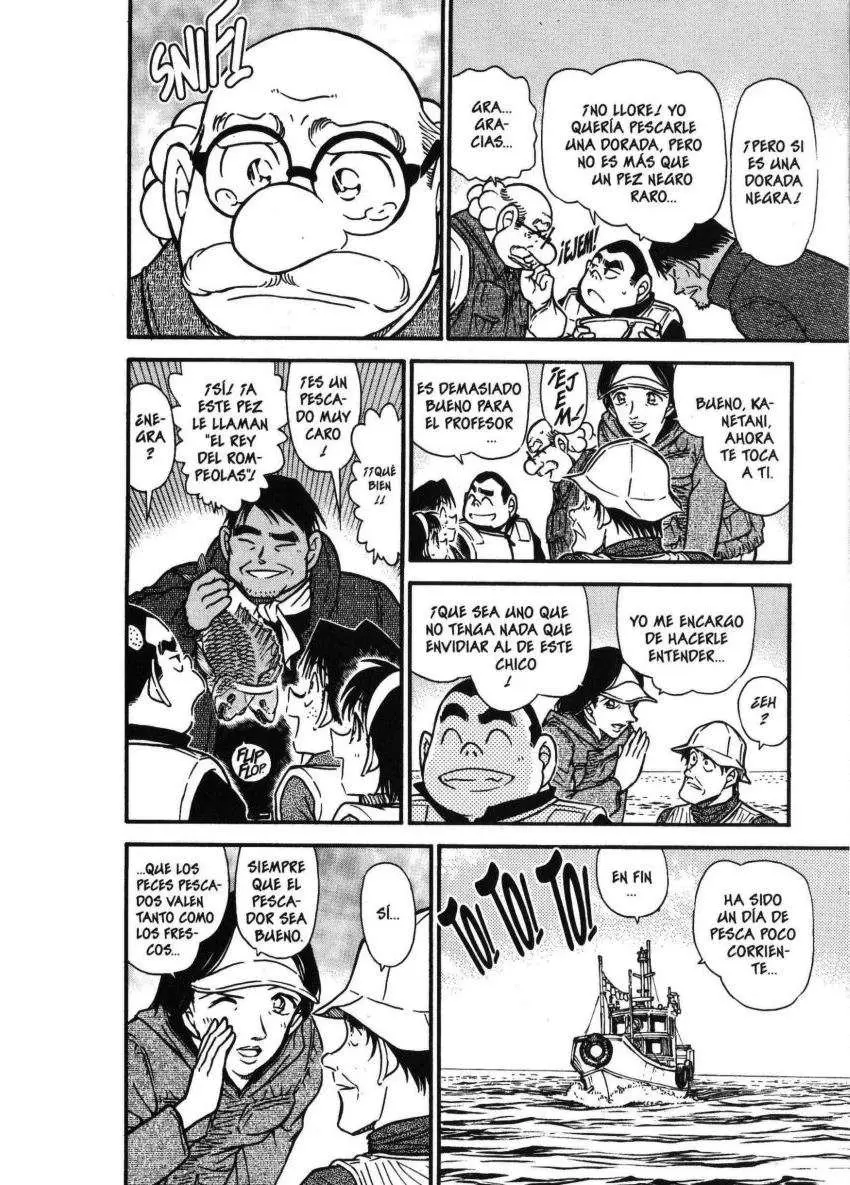 Detective Conan capítulo 462, página 17