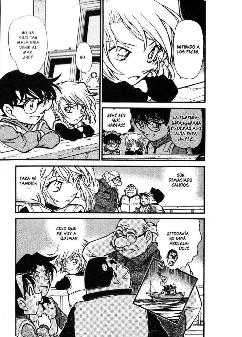 Detective Conan capítulo 462, página 18