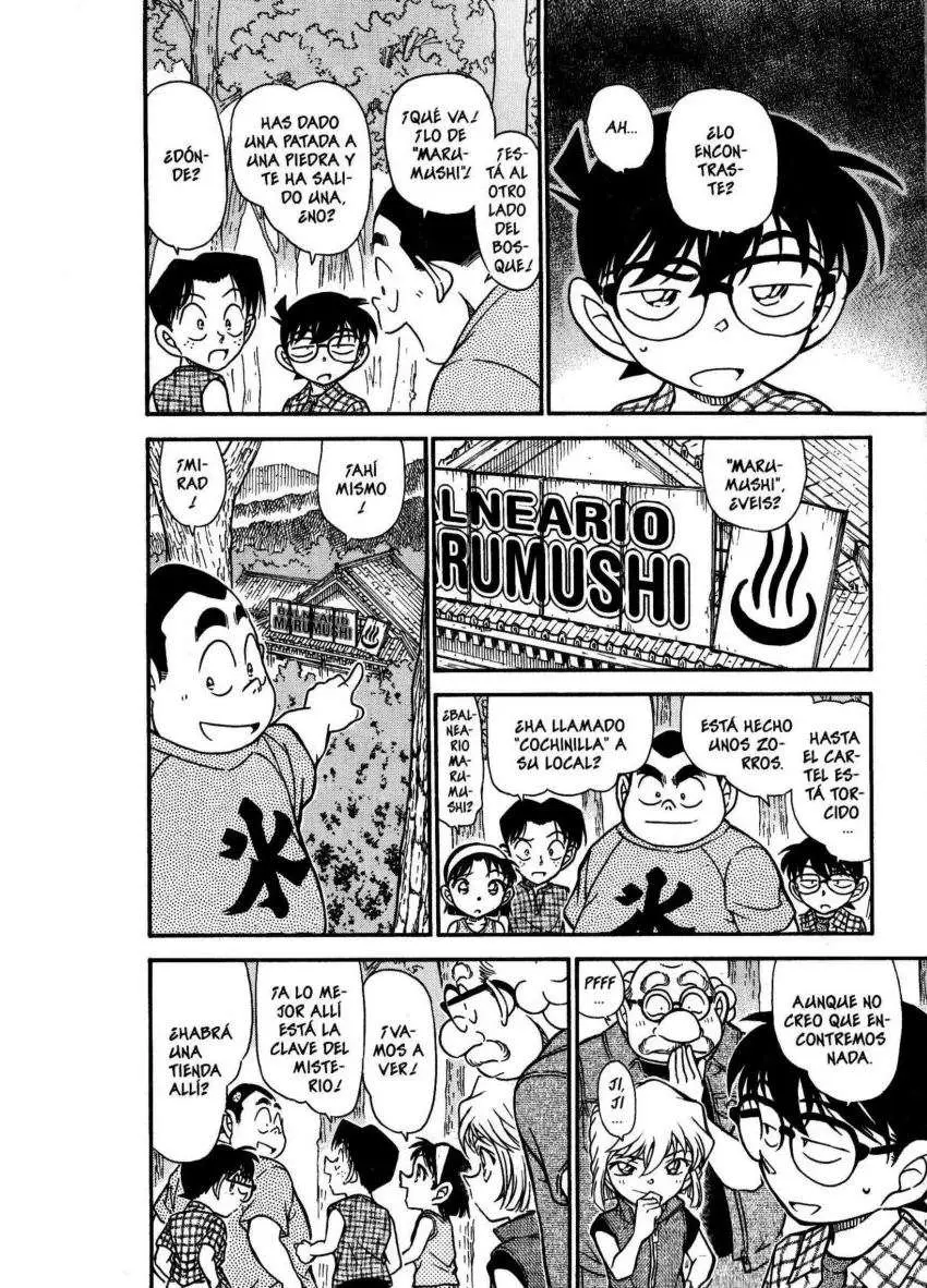 Detective Conan capítulo 491, página 13